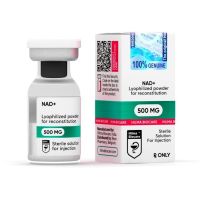 (HB) NAD+ 500mg