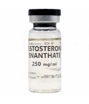 (EP) Testosterone Enanthate 250 (10 ml)