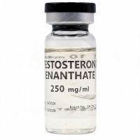 (EP) Testosterone Enanthate 250 (10 ml)