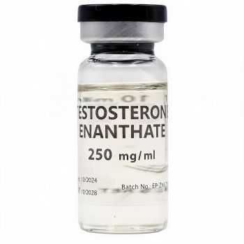 (EP) Testosterone Enanthate 250 (10 ml)