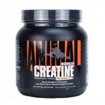 Animal Micronized Creatine Powder 500g